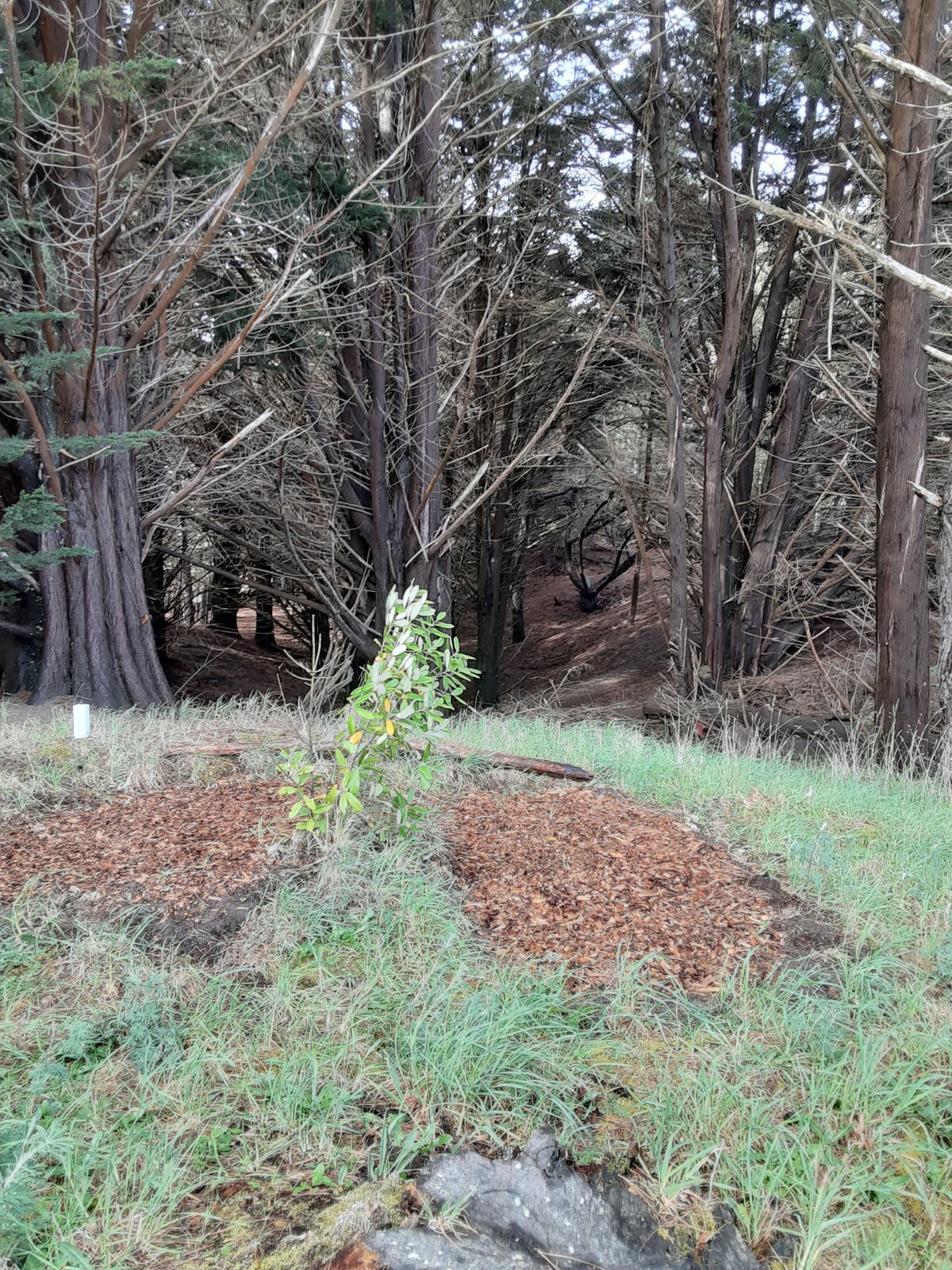 5th tee