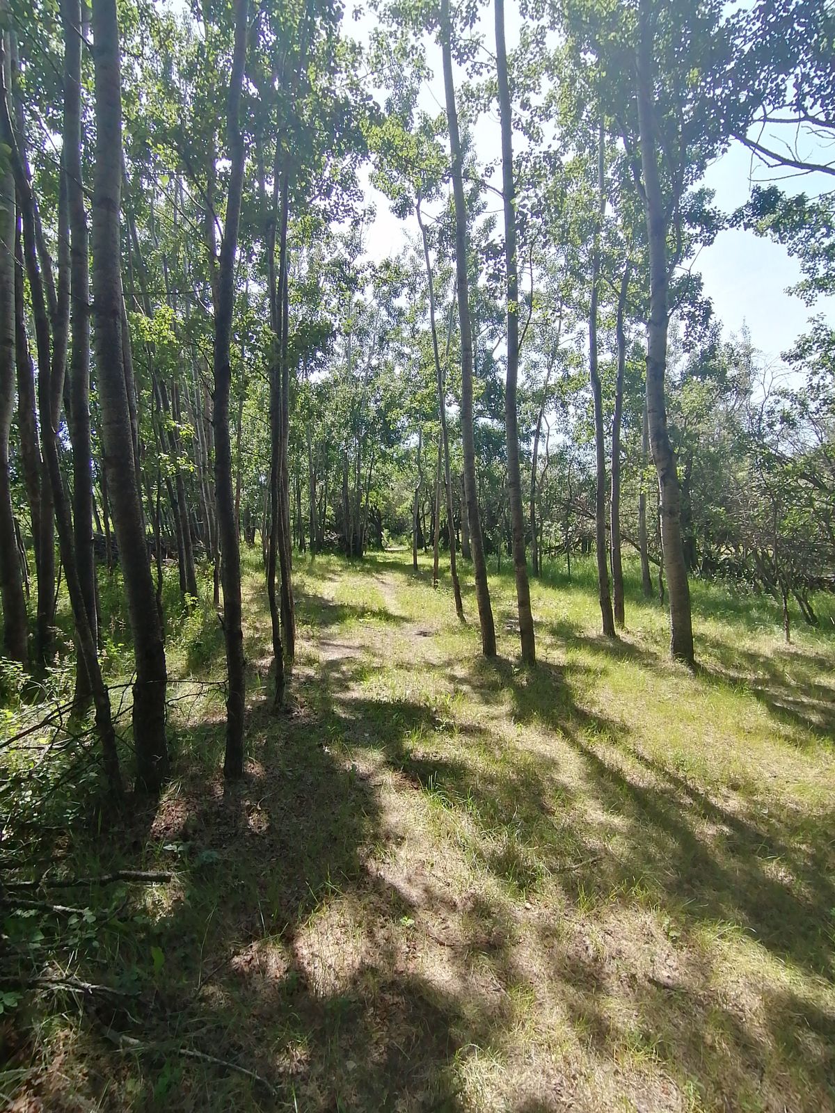 #13 back towards tee box