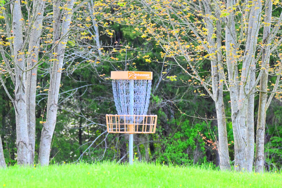 Basket for Hole #2