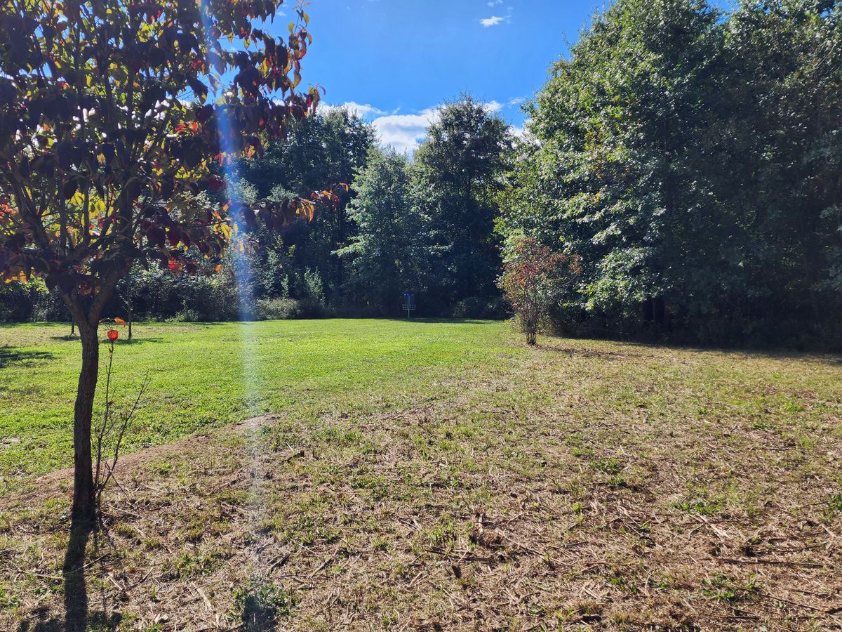 No. 3 green