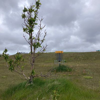 Course photo