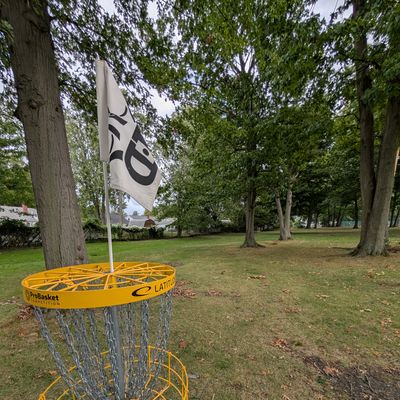 #5 basket back towards tee.