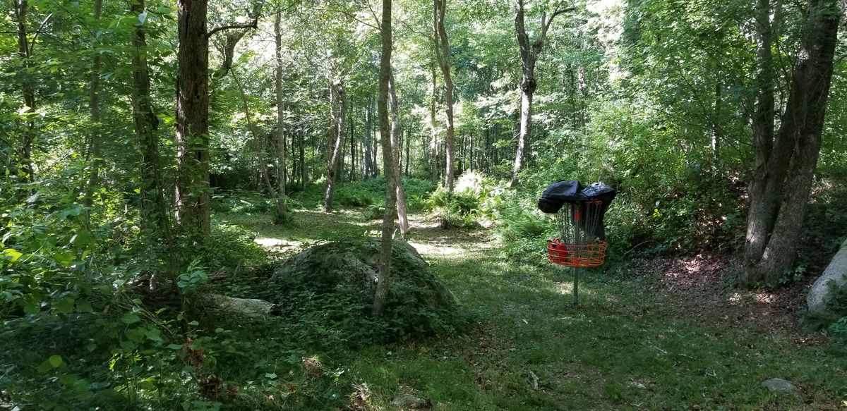 Hole 6