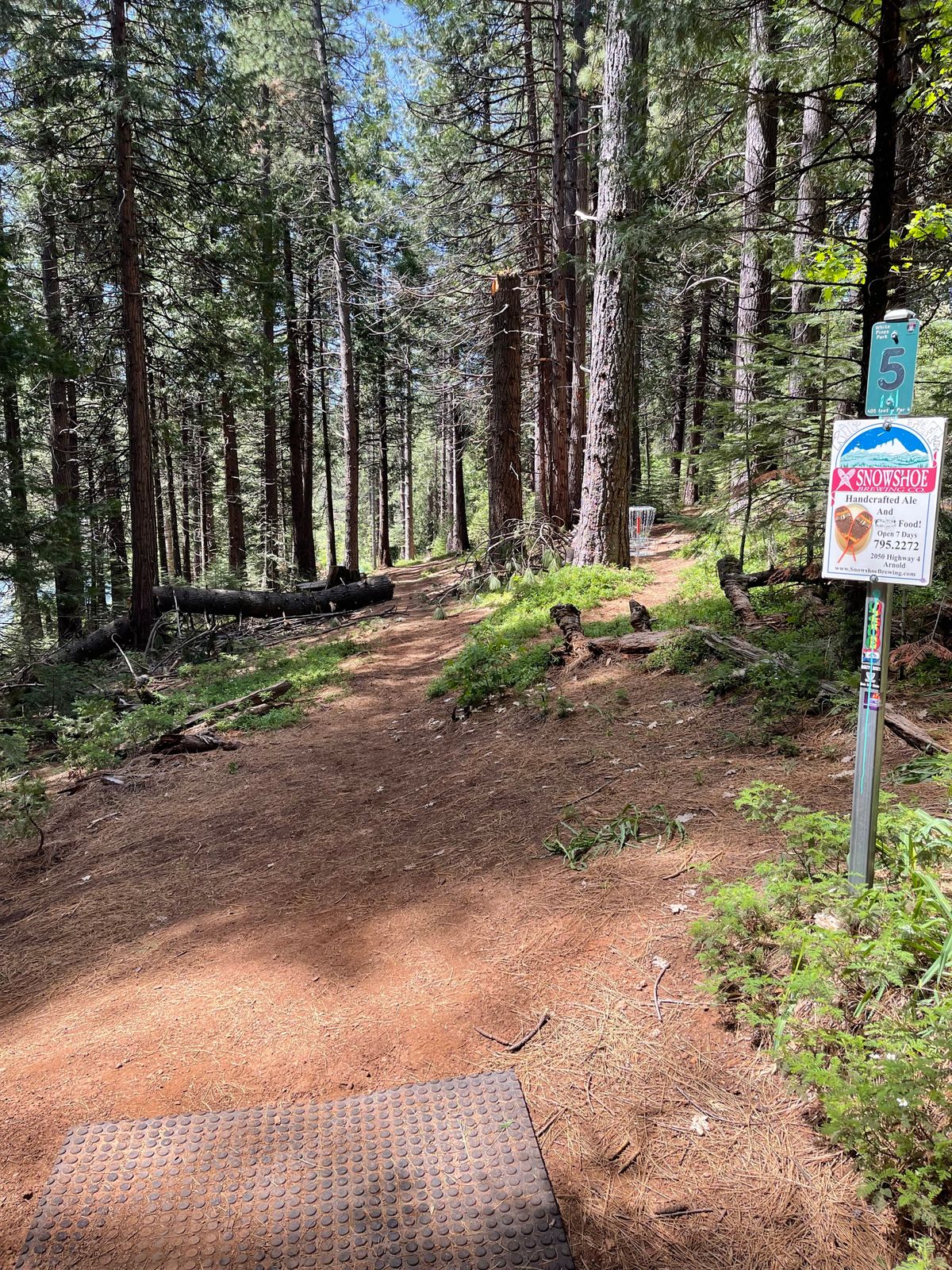 Hole 5