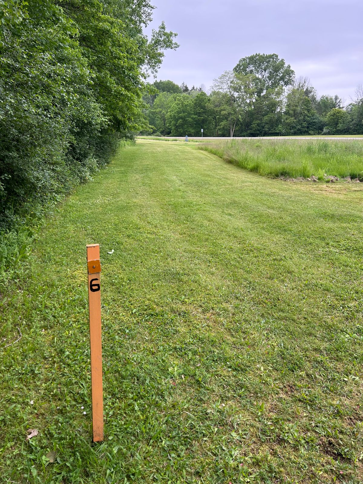 Hole 6 tee