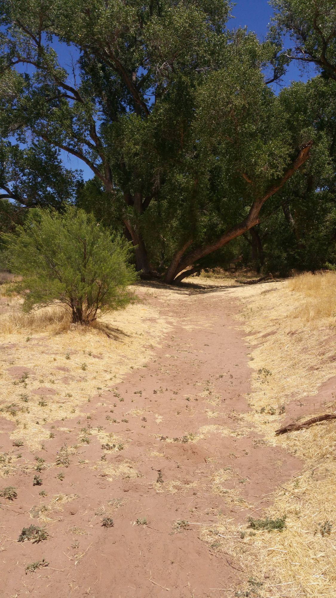 Fairway to Hole 3