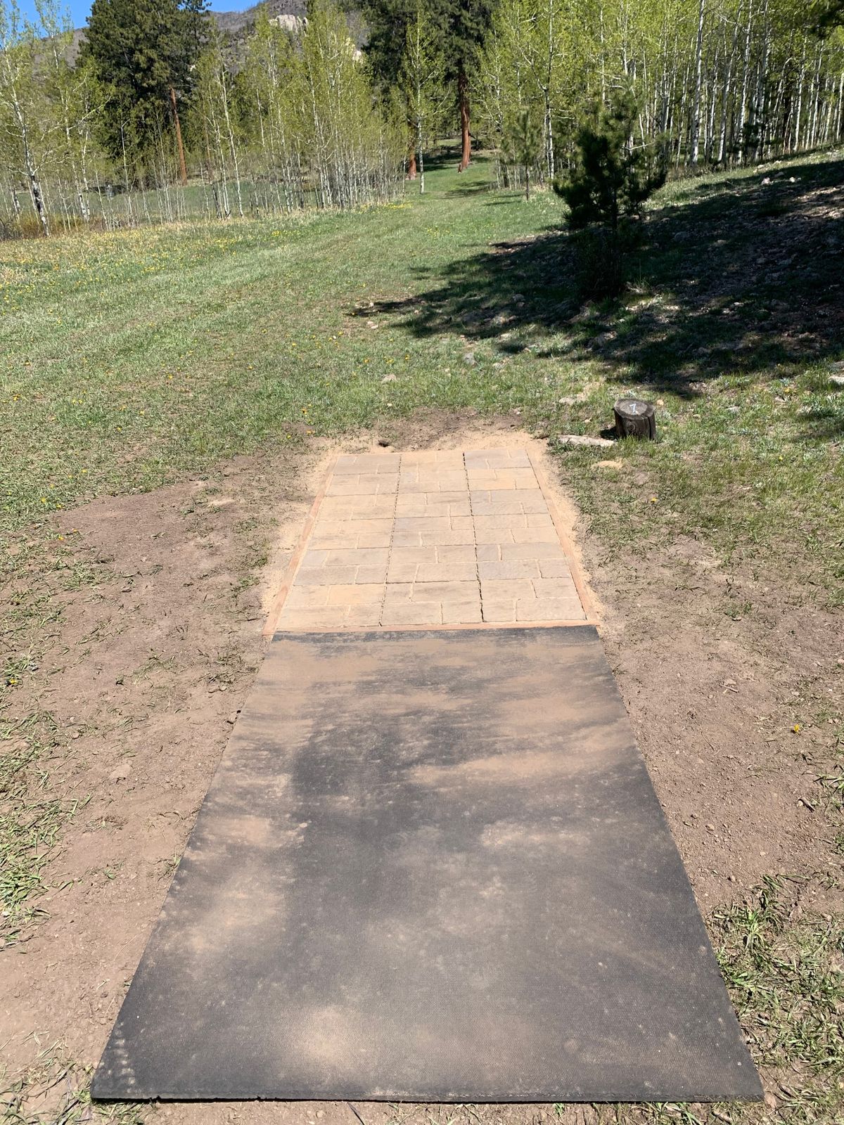 Hole 7