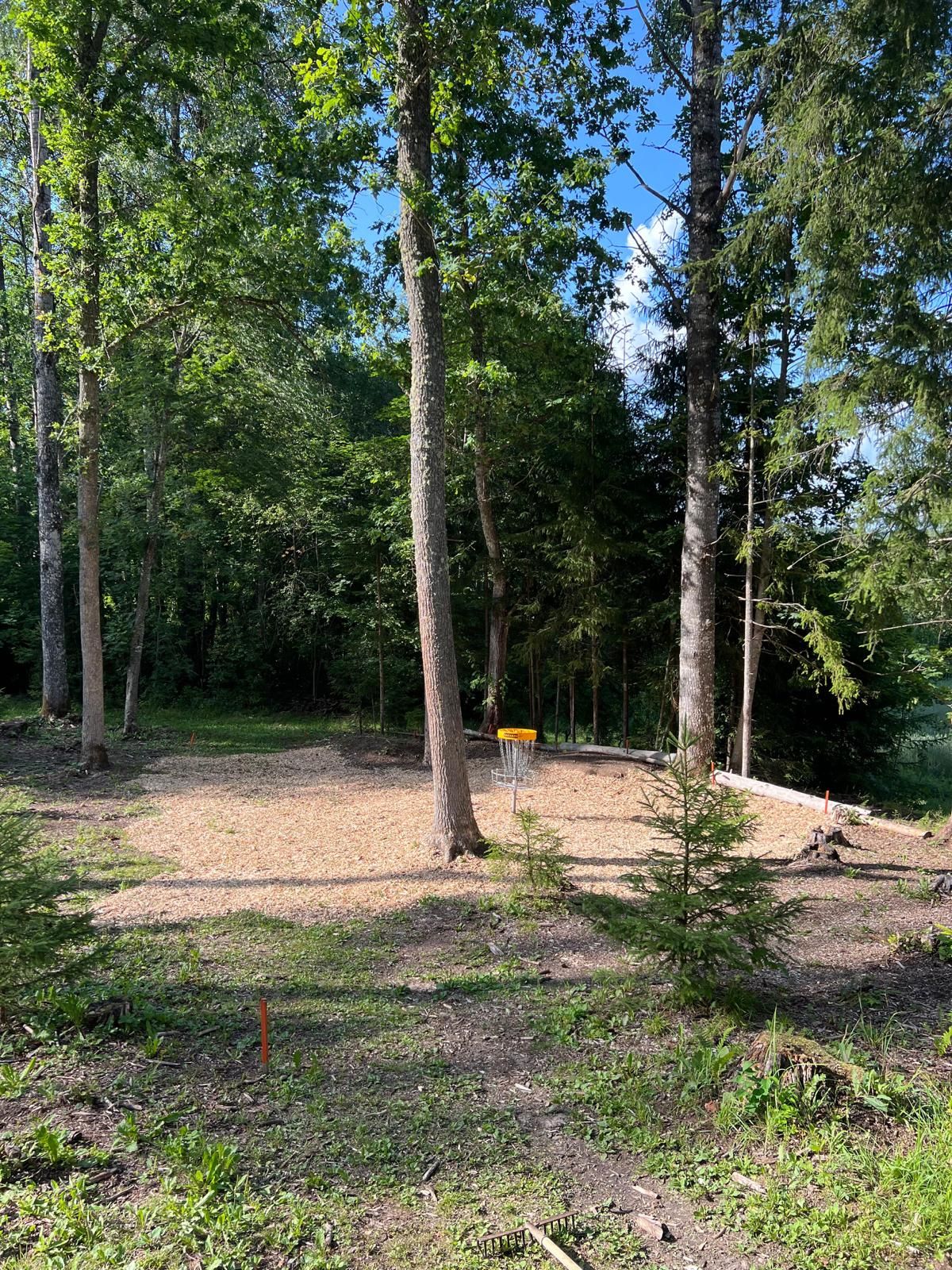 Hole 10