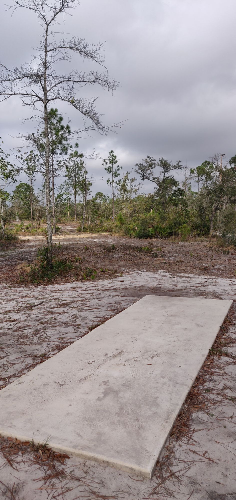 Hole 1 pad