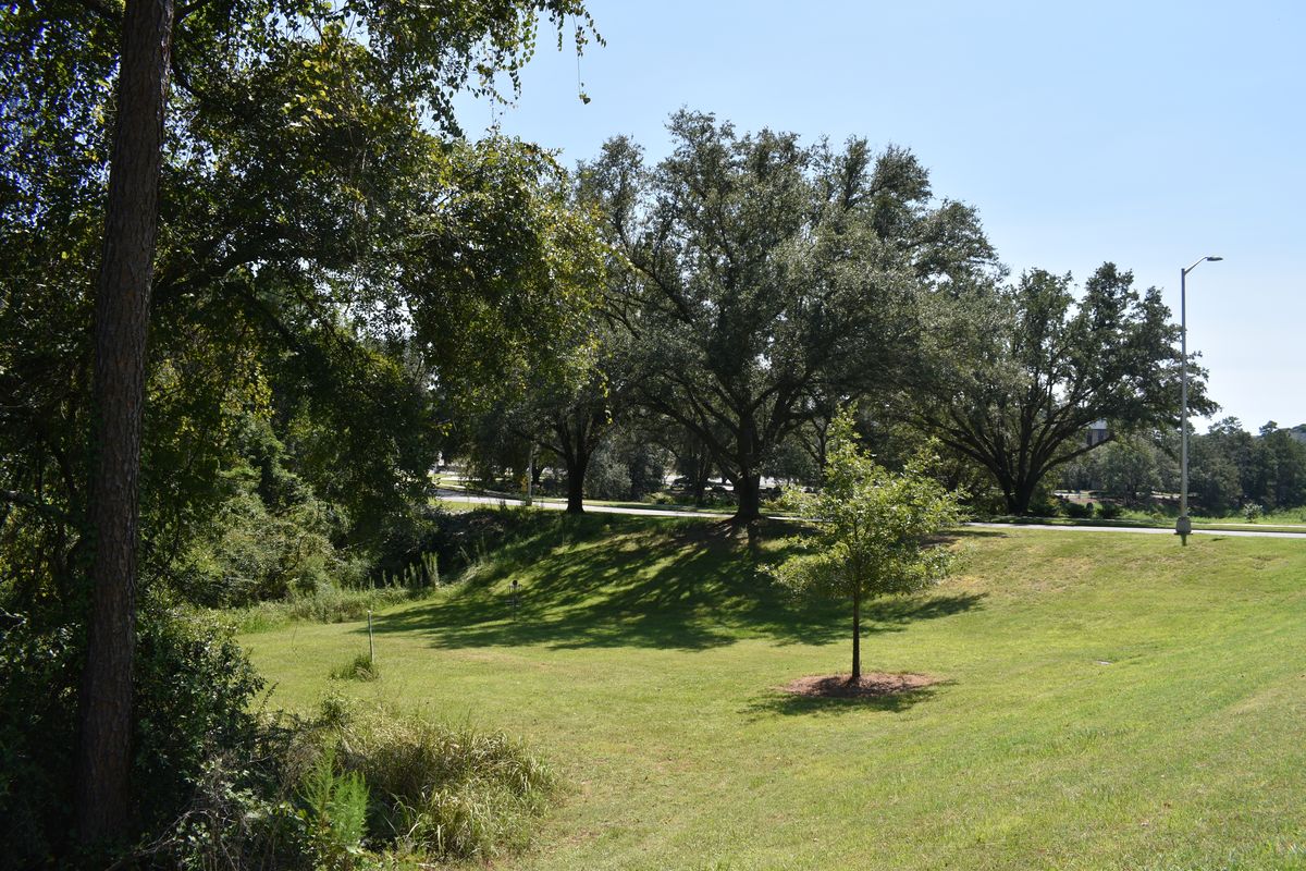 Hole 13’s Basket