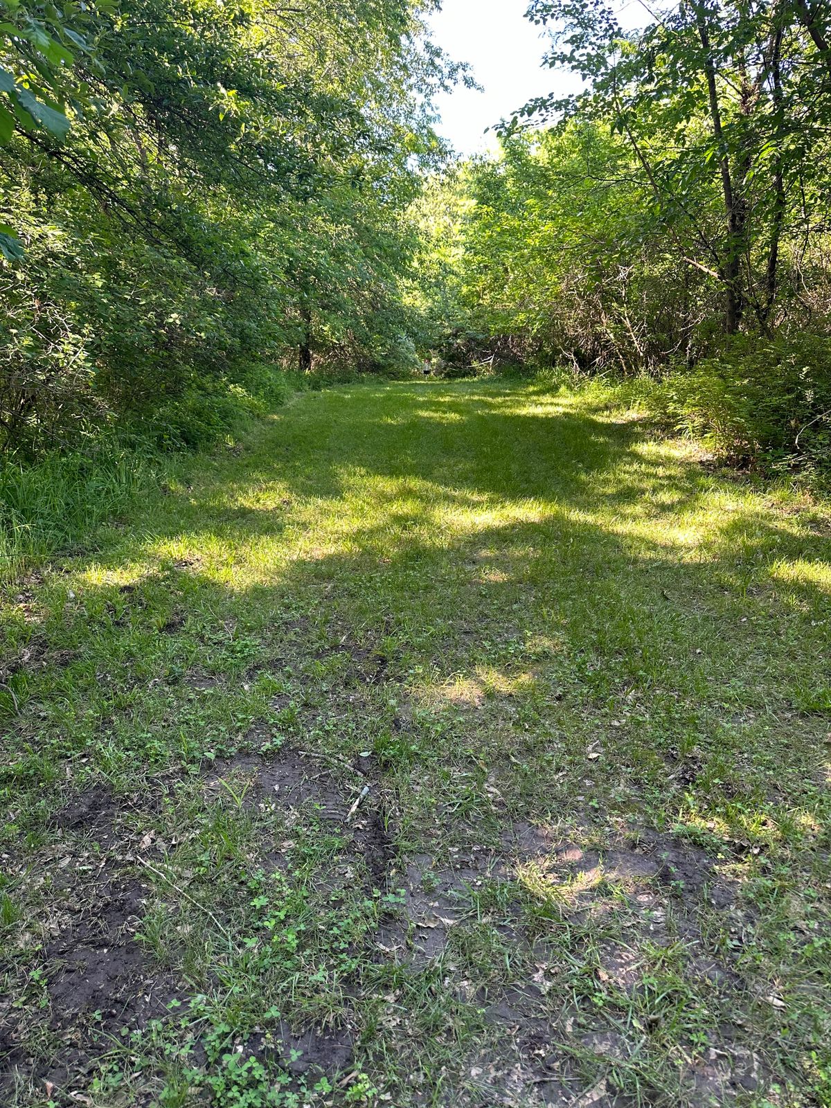 Hole 7 - Throw em straight or be prepared for poison ivy or a lost disc