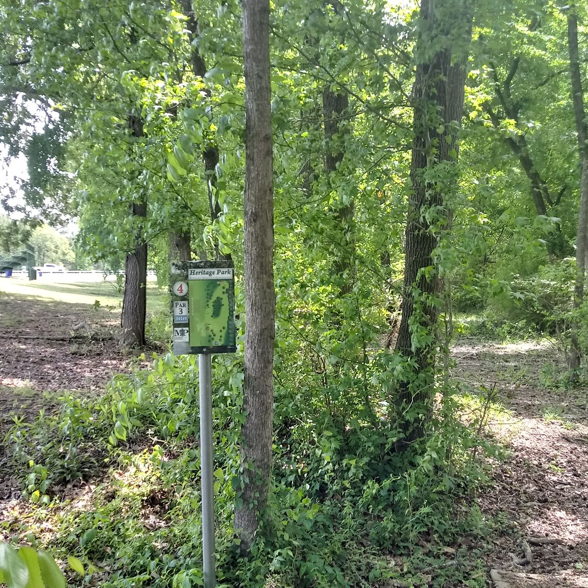 Too MUCH trees have throw to the left Towards the bleachers to curve right