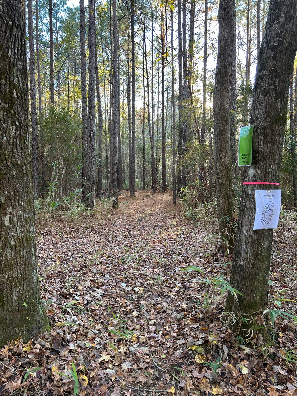 Hole 12