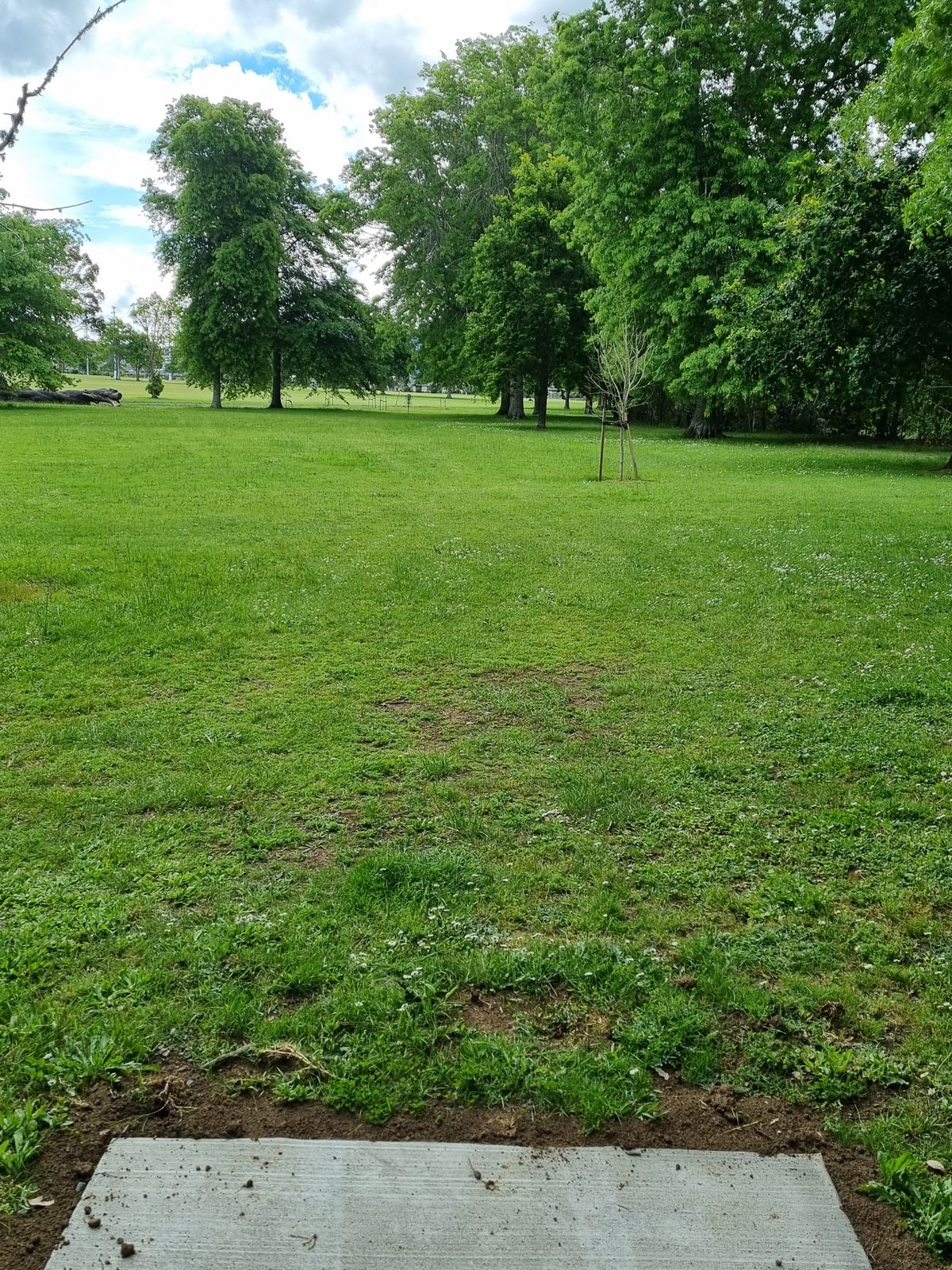 Hole 6 tee and fairway