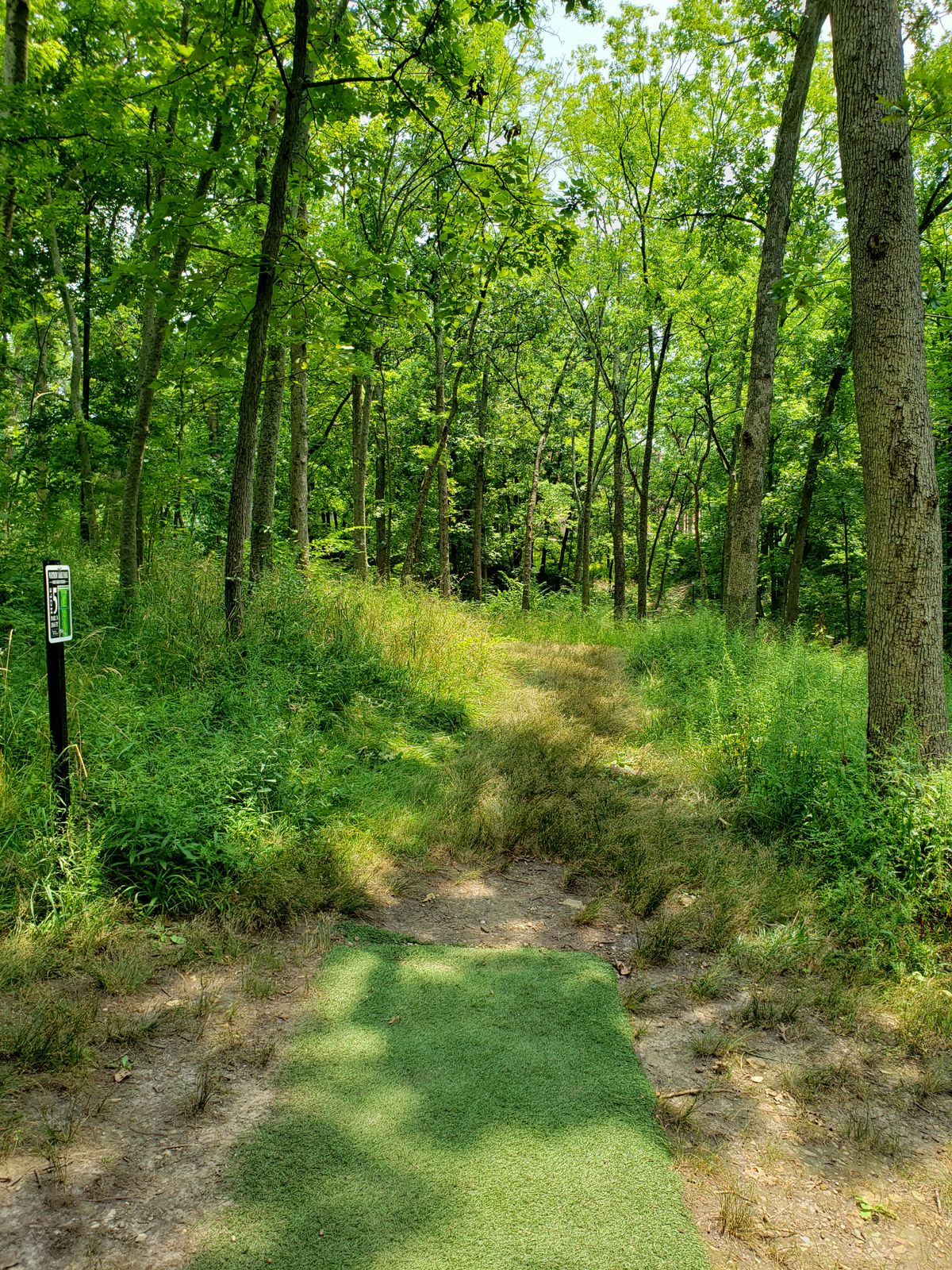 #5 Tee-Pad and Fairway