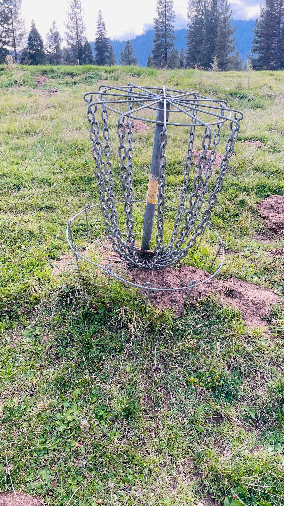 Basket for I think hole 13.