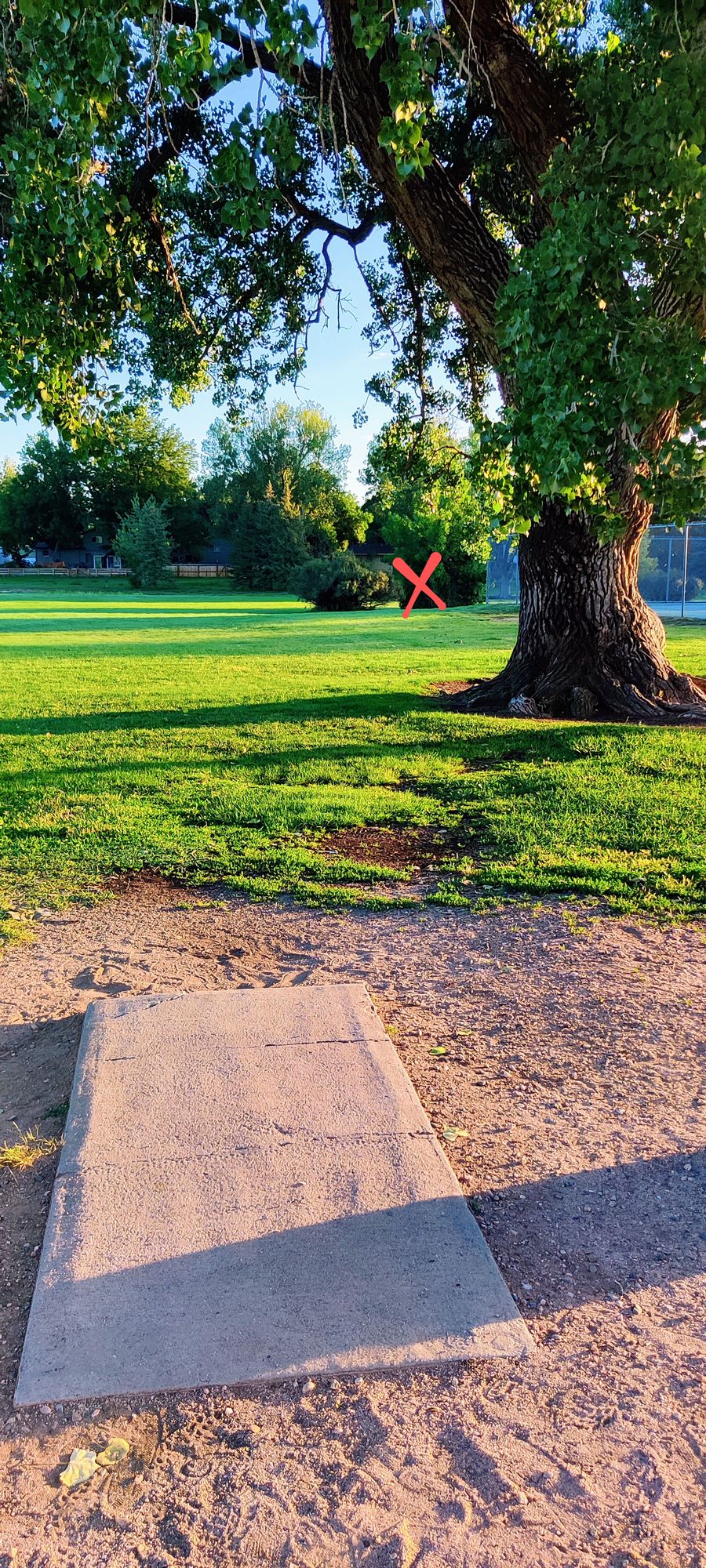 Tee 1 - basket is behind the rightmost bush.