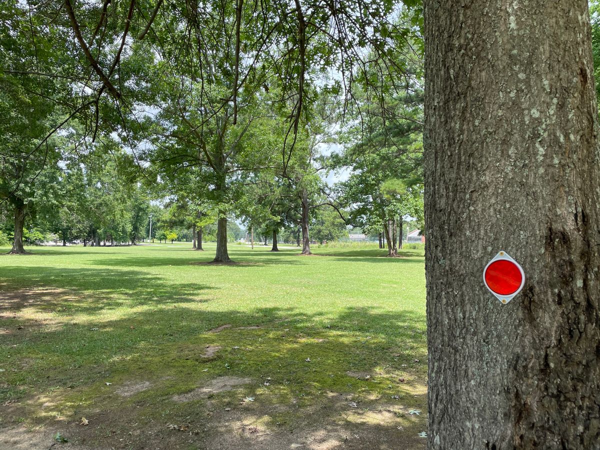 Your object targets are trees with red reflectors.