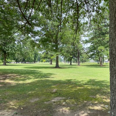 Your object targets are trees with red reflectors.