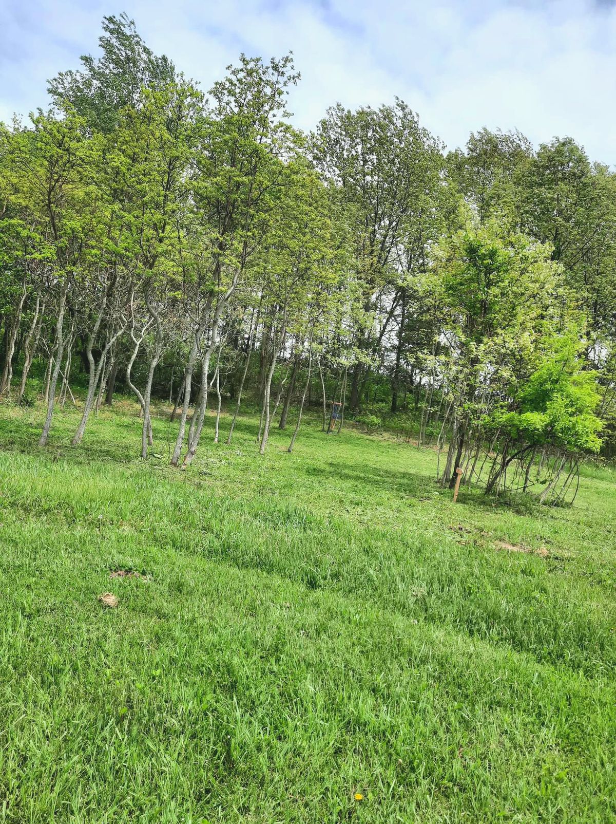 Hole 1