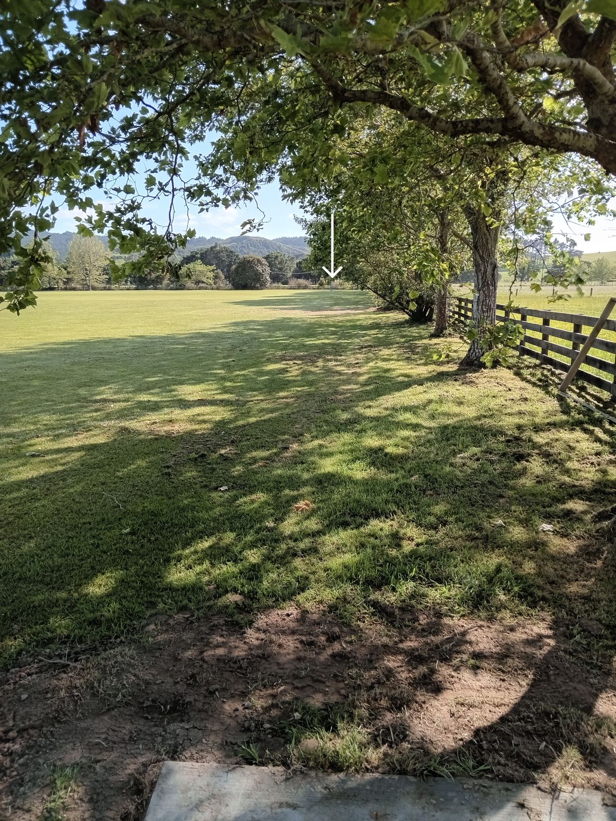 Hole 7