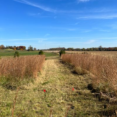 Hole 2. Freshly cut fairway to the basket on the right!