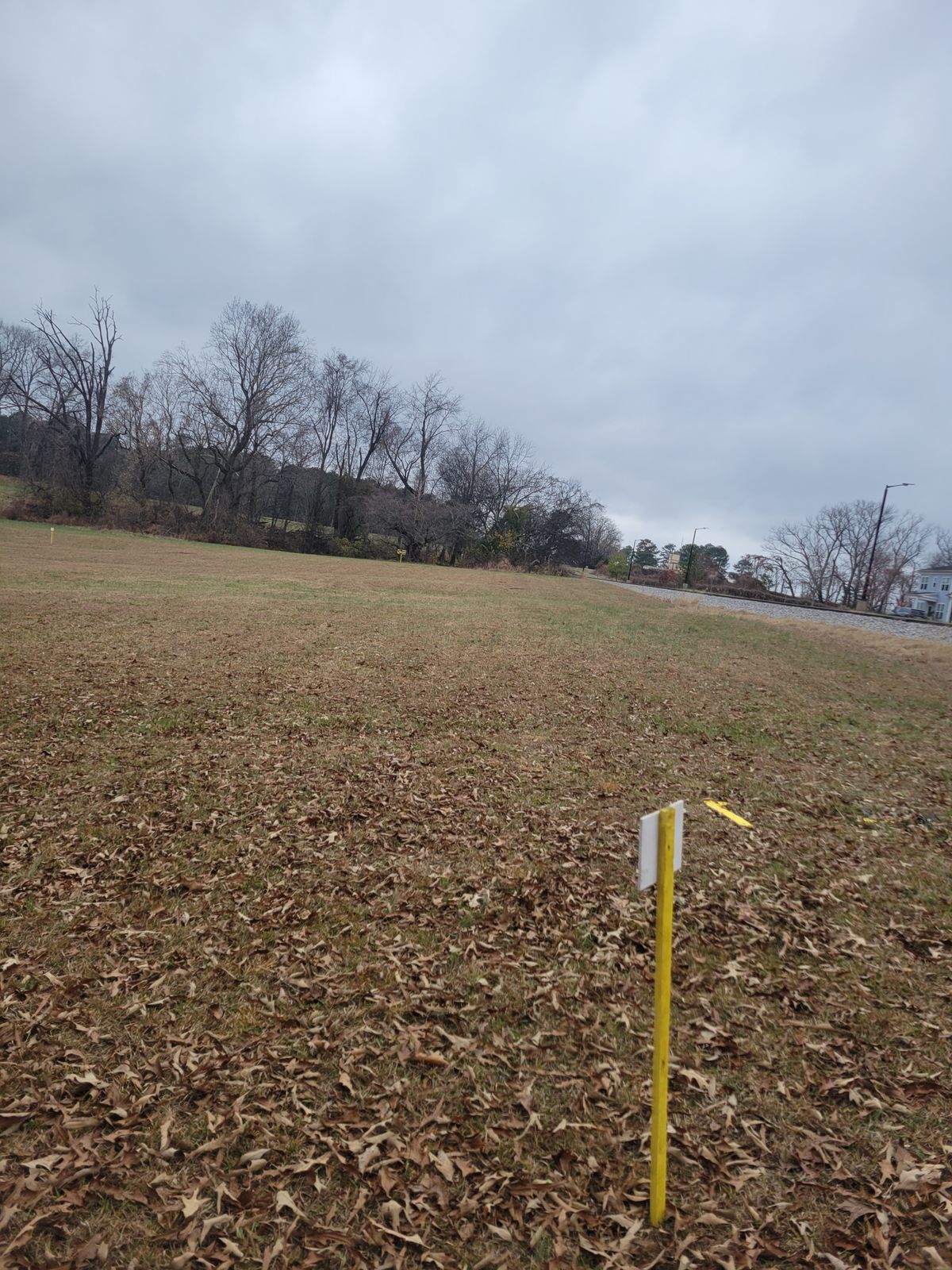 Hole 4