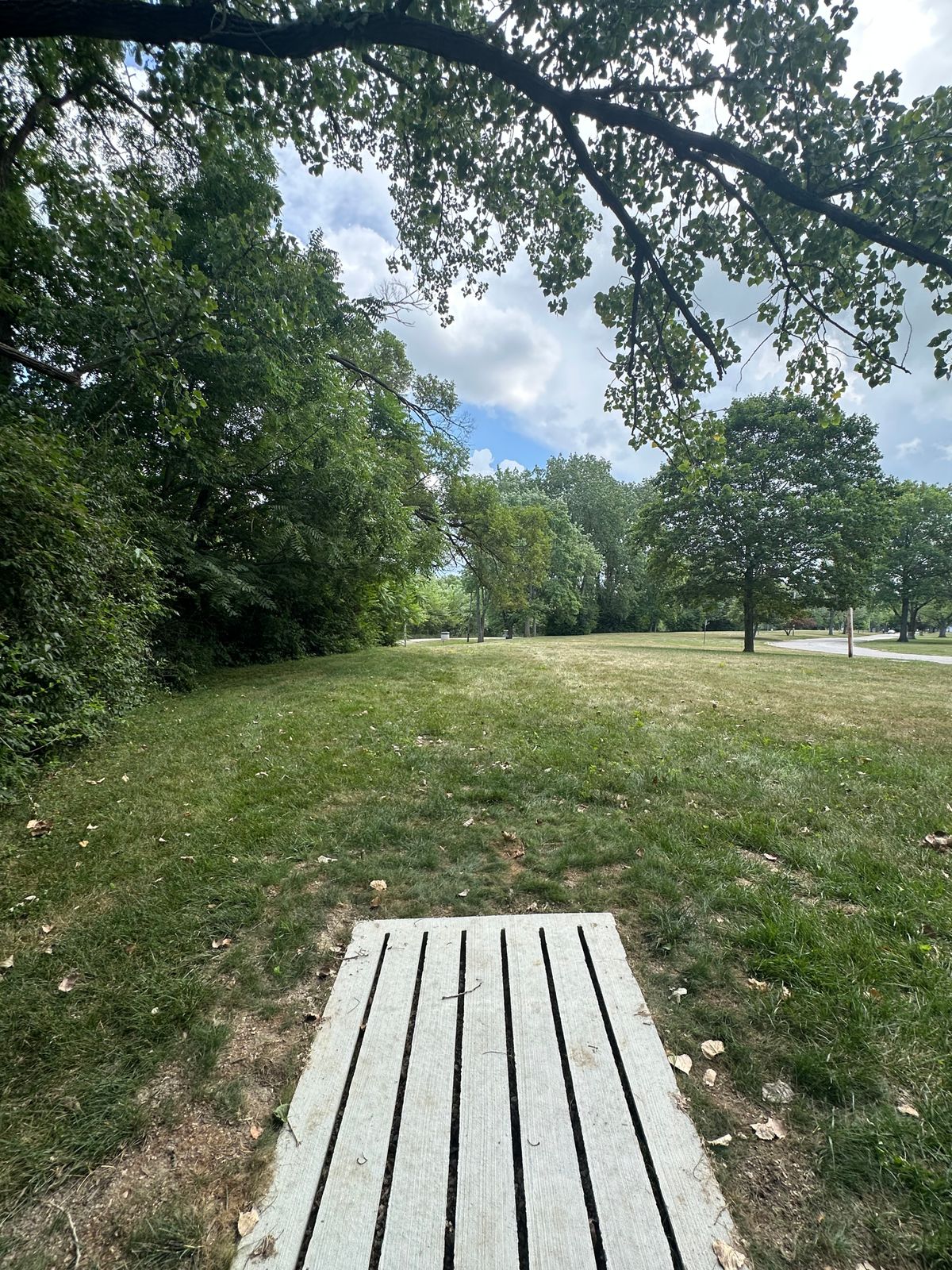 Hole 15 tee pad