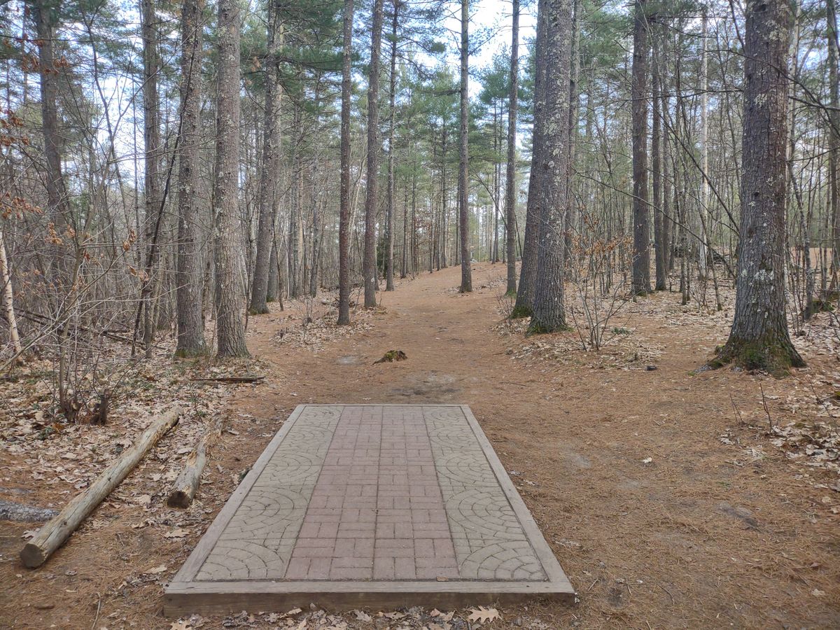 Hole 11