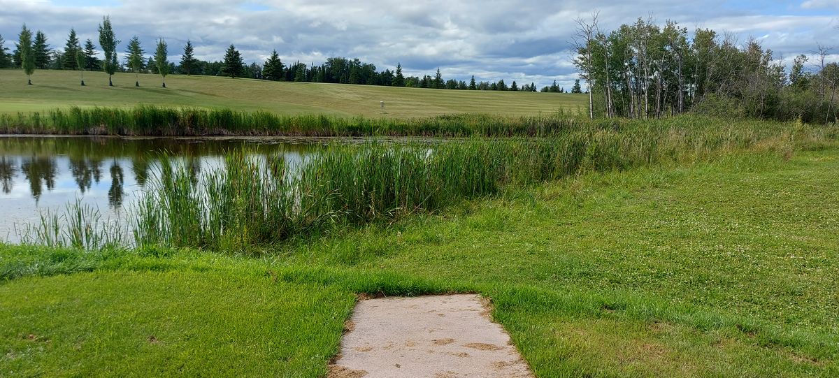 Great potential Disc Golf course needs tee signs and arrows pointing to next basket.