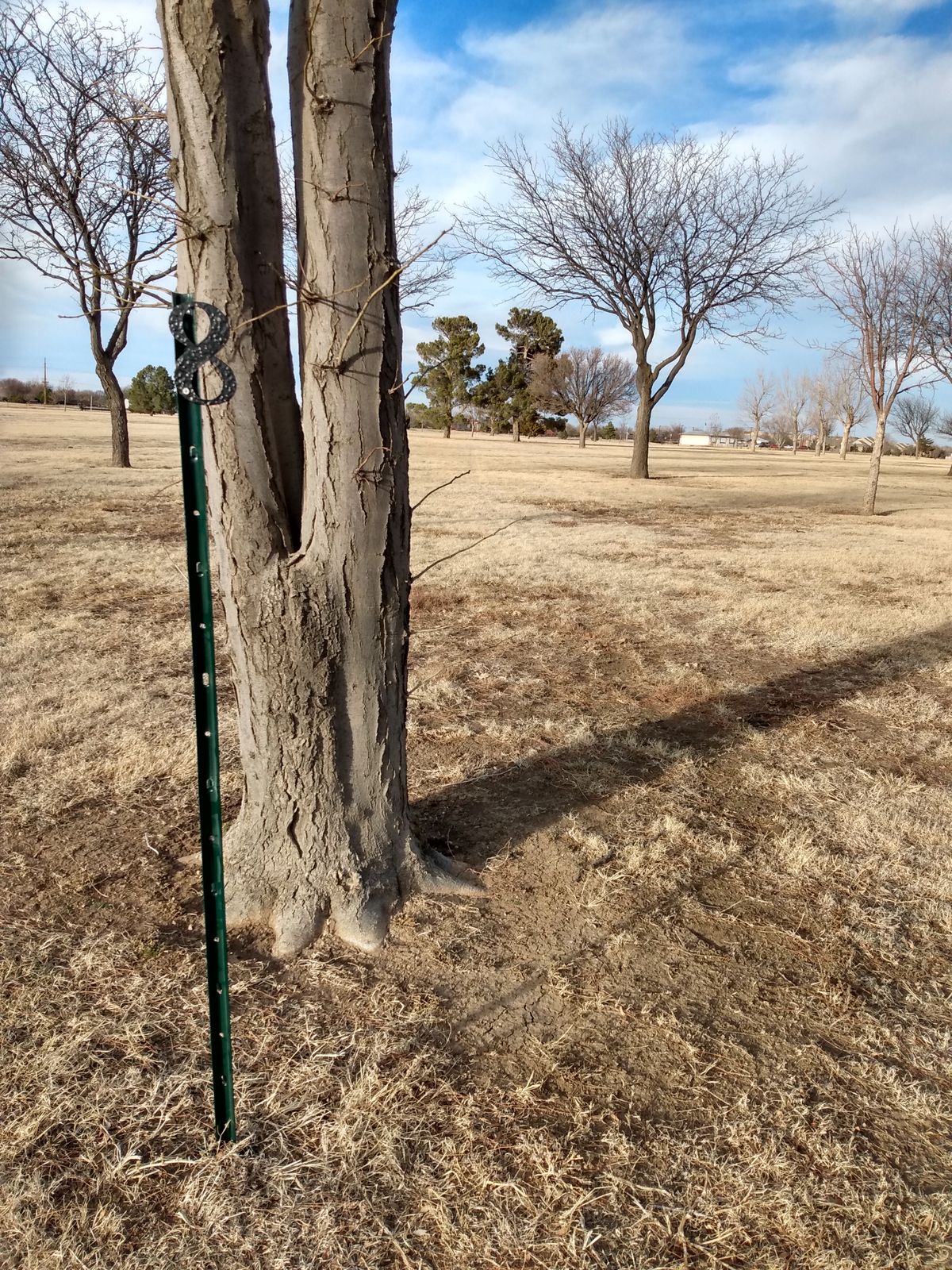 Hole 8