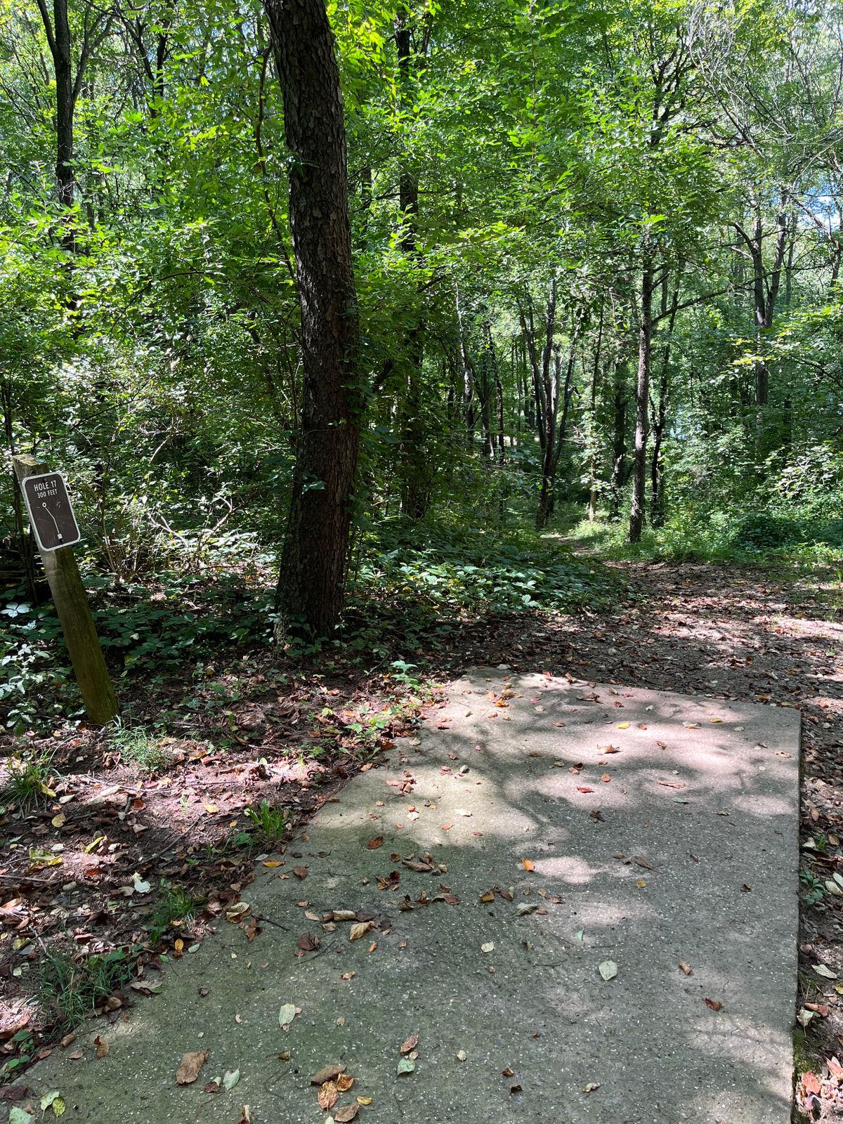 Hole 17
