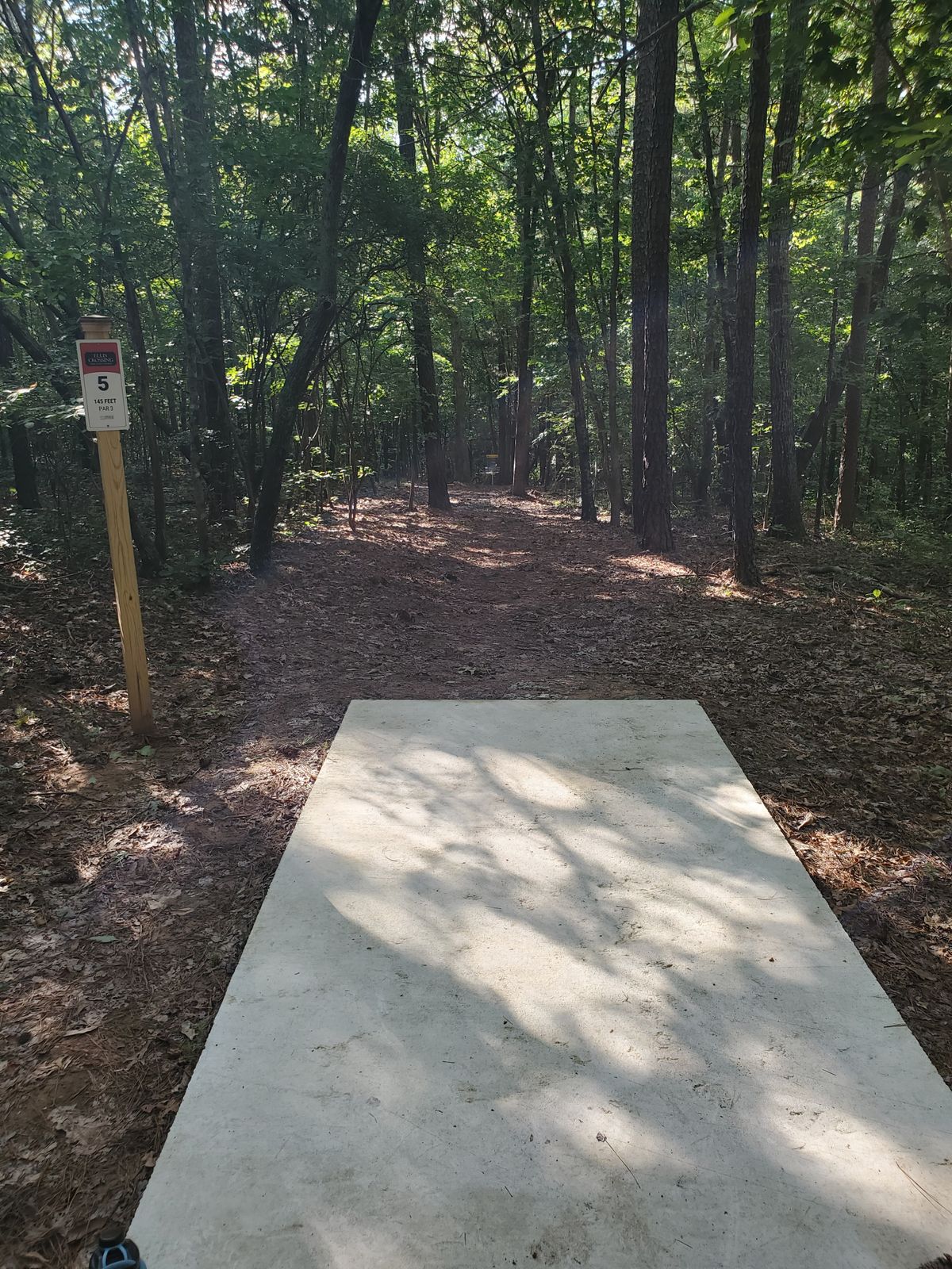 Hole 5 tee to basket