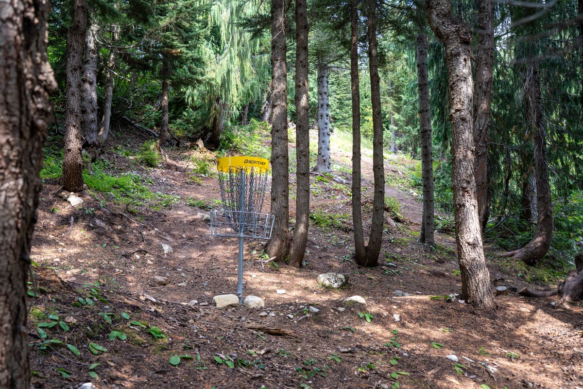 Hole 6 green
