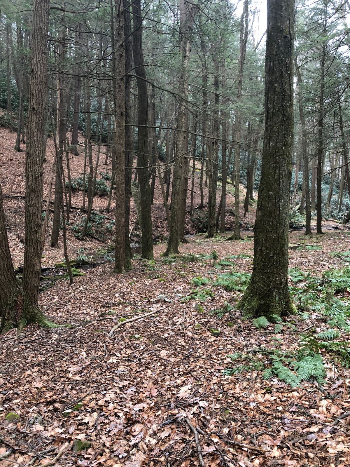 Hole 3