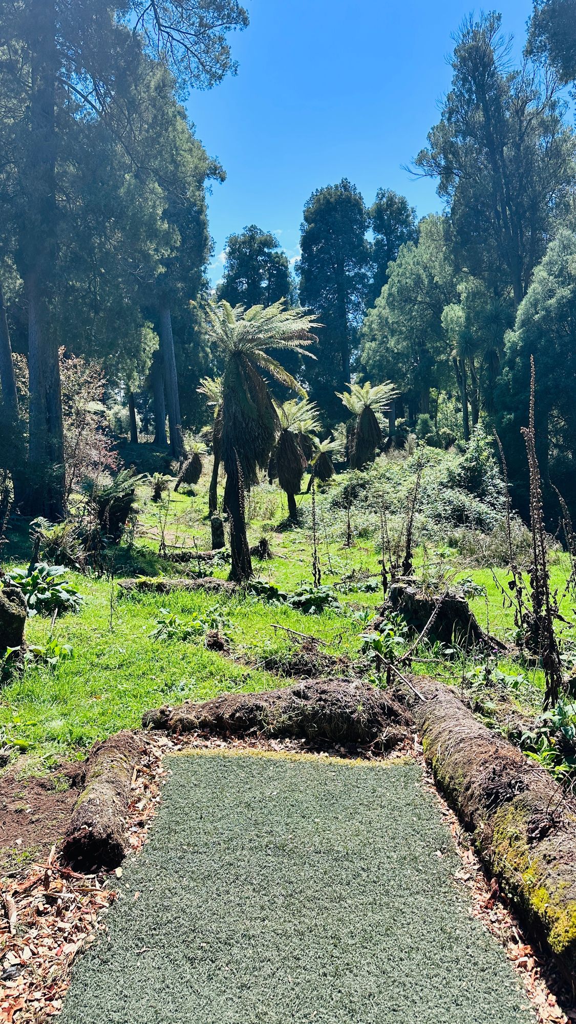 Blue Layout - Temp Tee - Hole 4