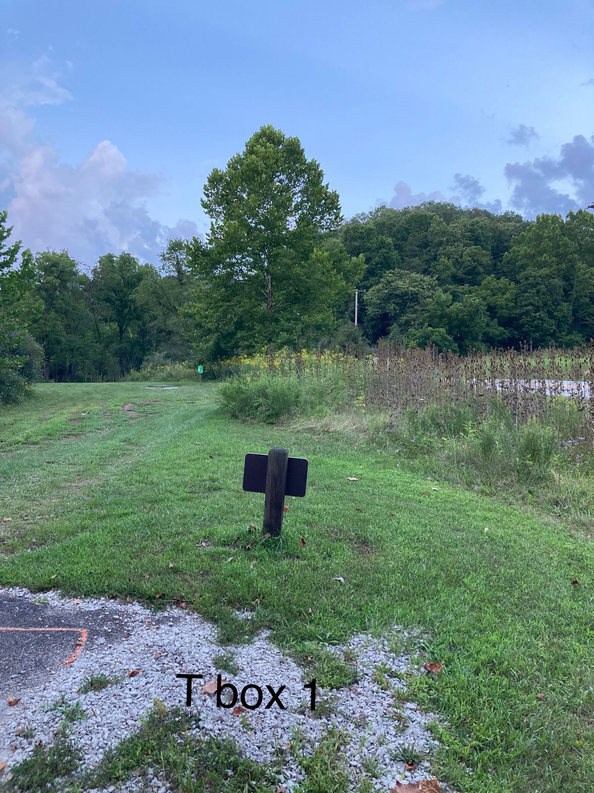 T box 1 hole 8