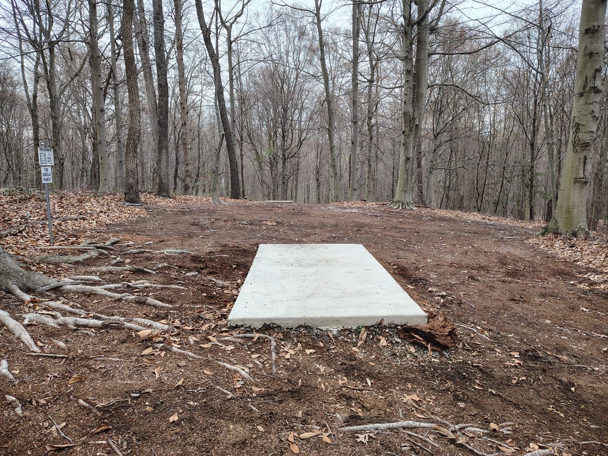 Hole 6 White