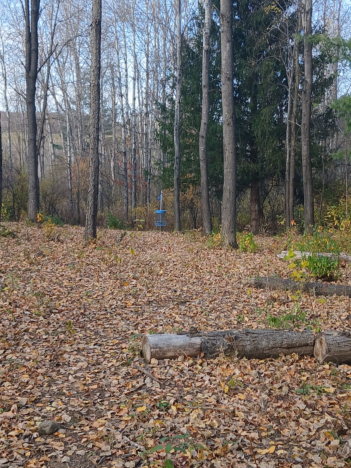 Fairway 