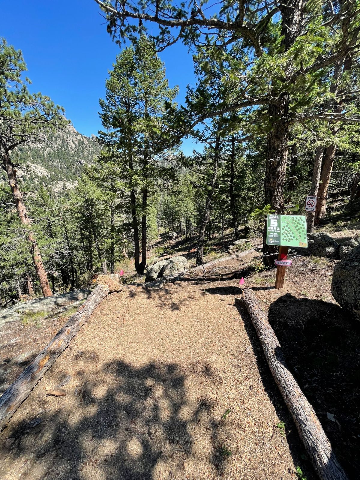 Hole 5 tee