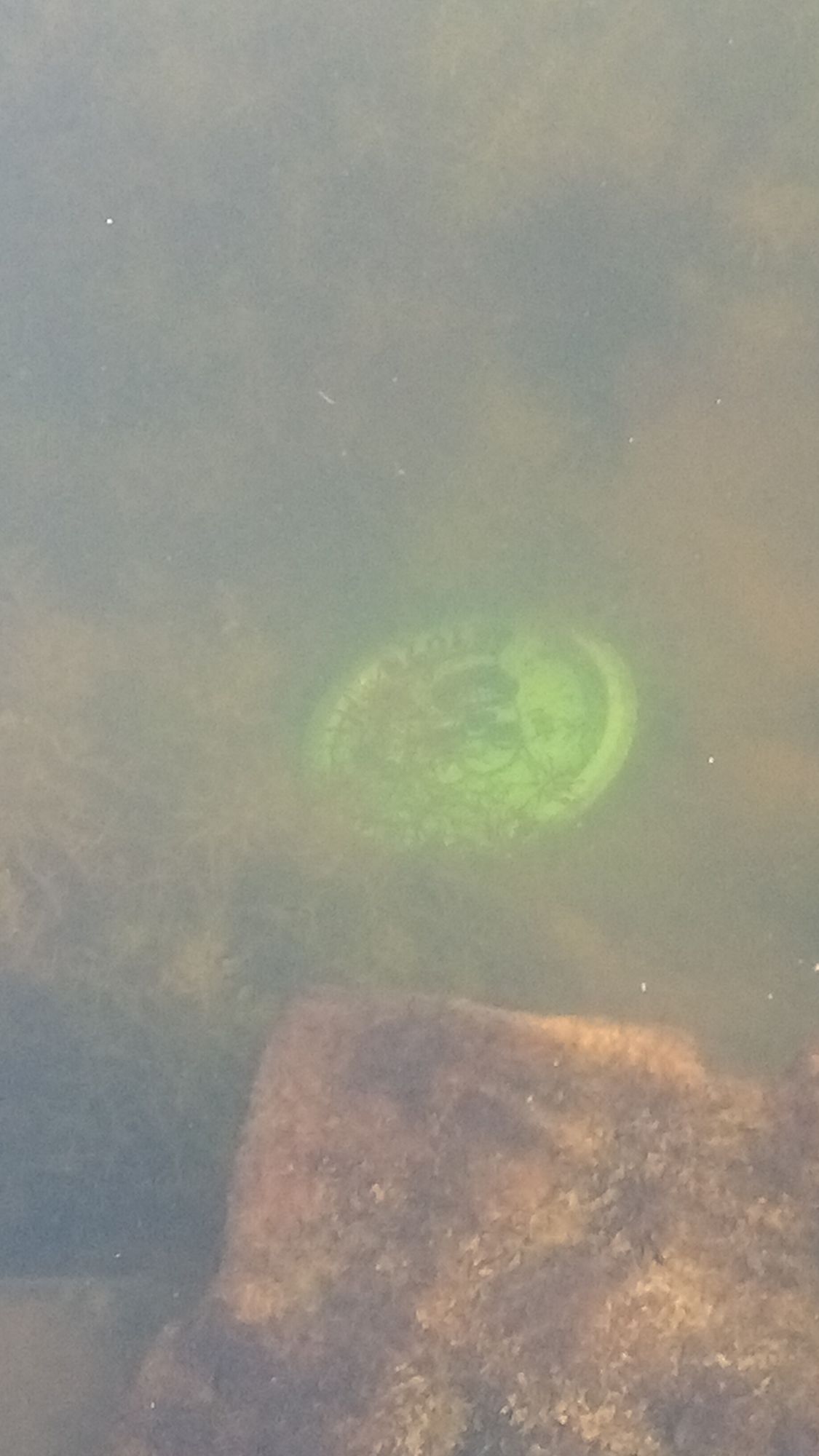 Water OB at Hole 9