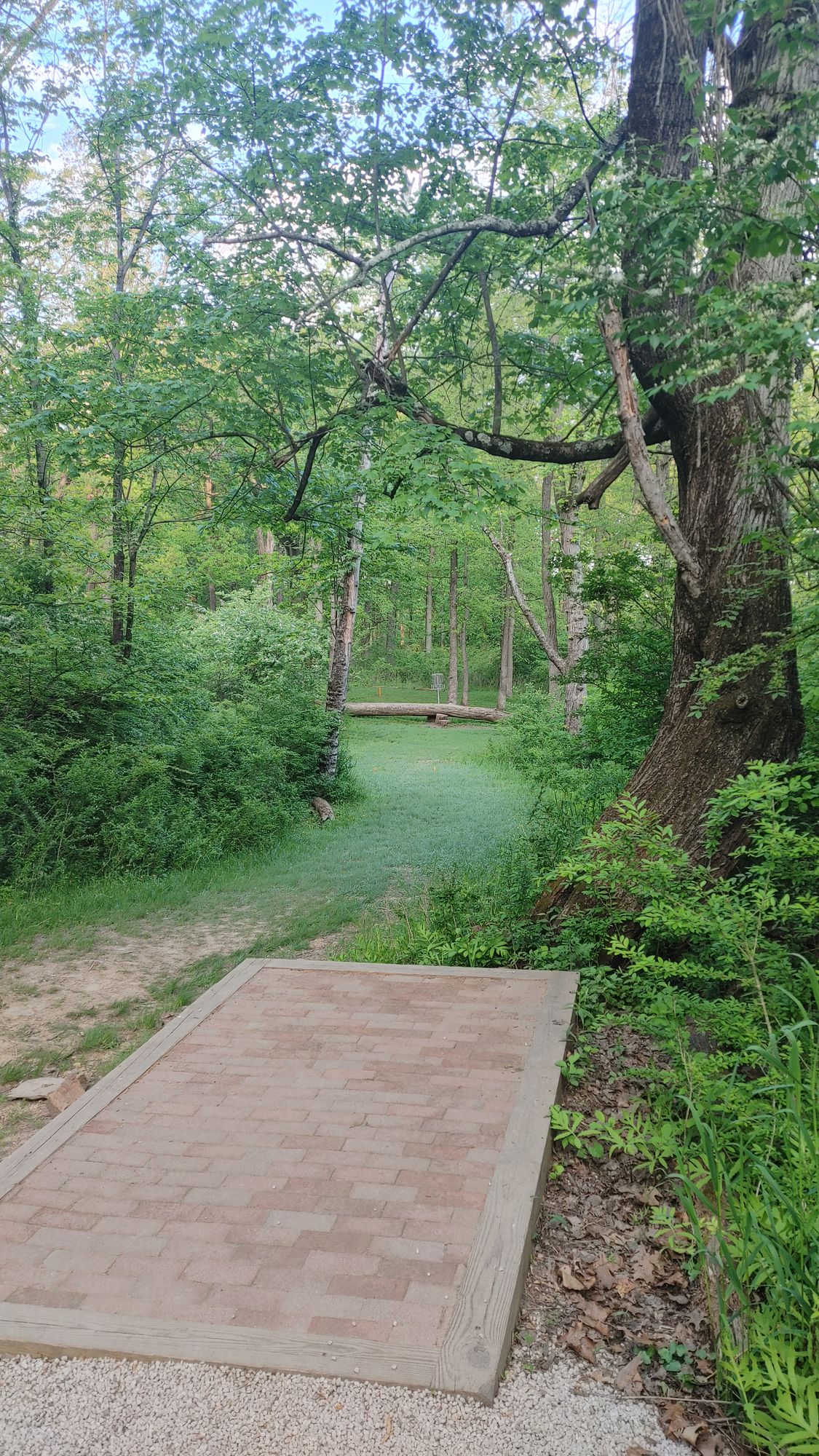 Hole #15