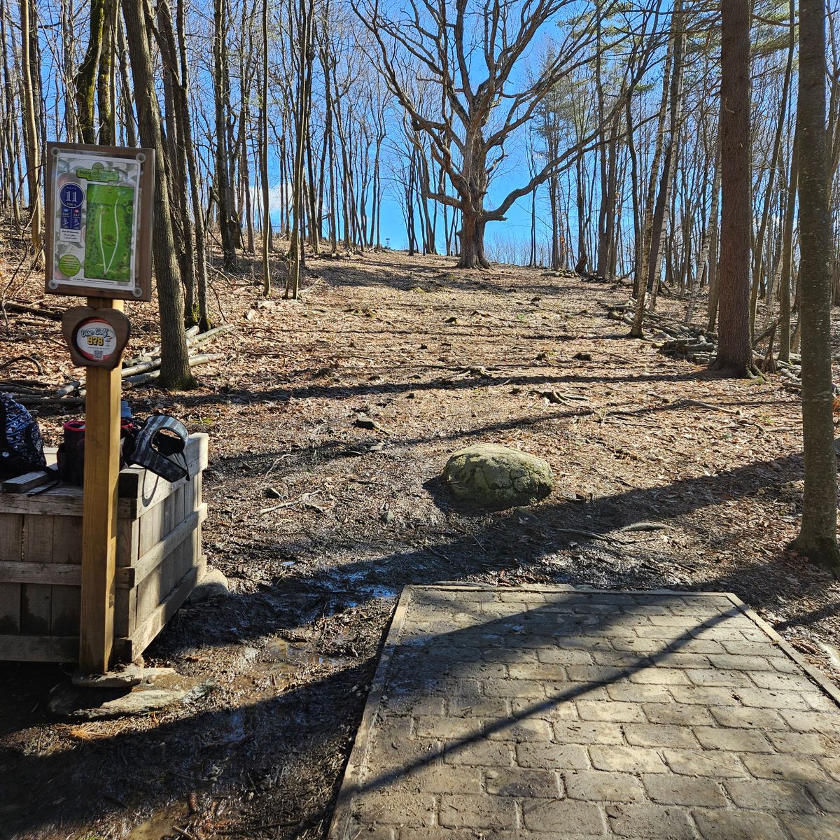 Hole 11 Tee Pad