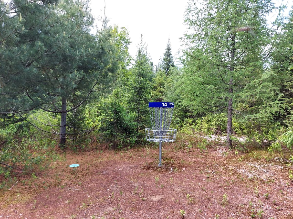 Putting on hole 14.🍁🌲🍁🌲🍁🌲