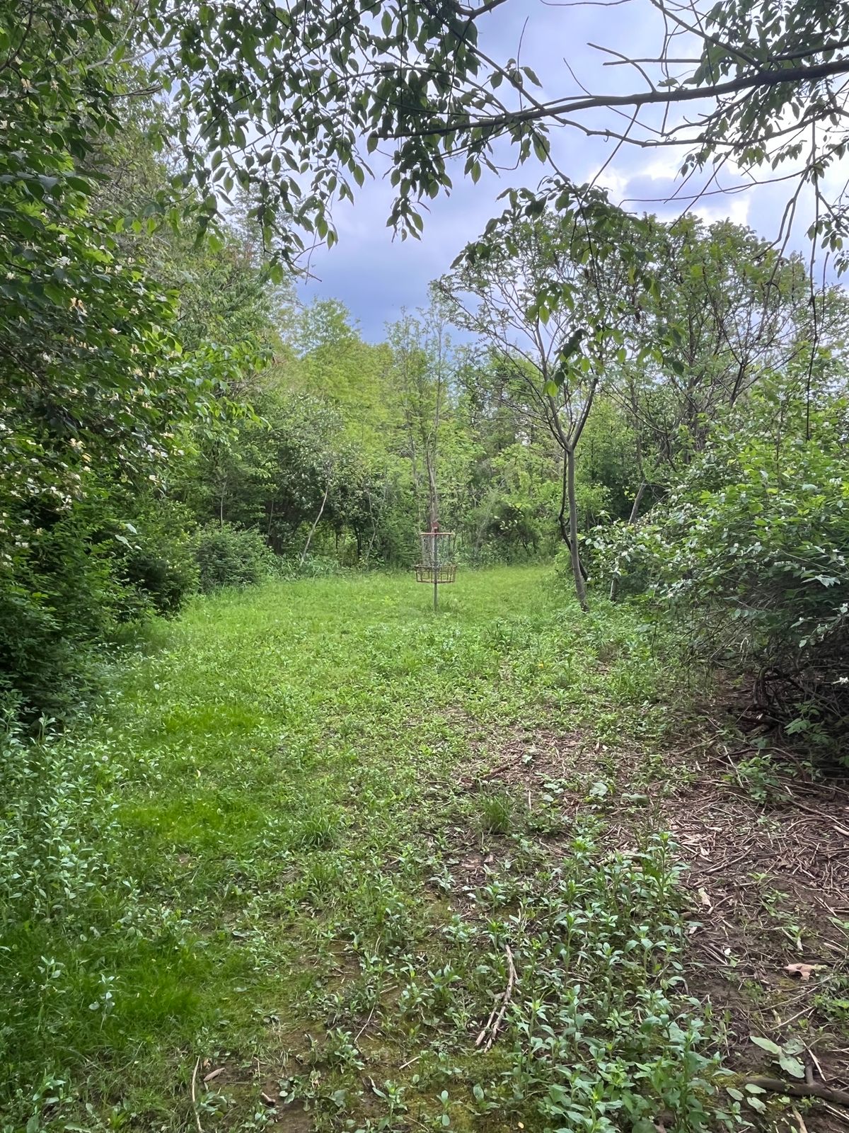 Hole 3s green, blind from the tee, bends left.