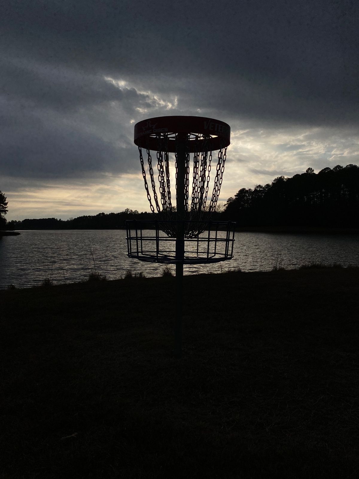 Hole 8 basket at dusk