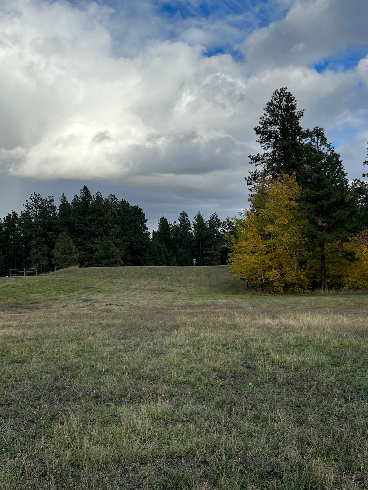 Hole 2