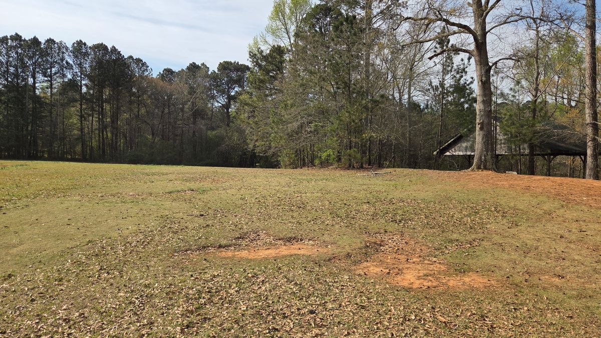 Fairway to Hole 4 Gold Basket