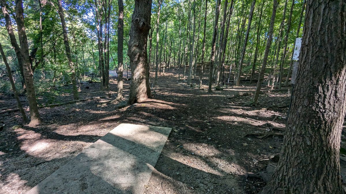 Hole 9 tee pad (basket in the distance)