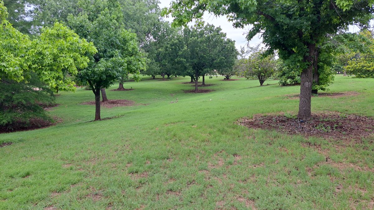 Hole 9